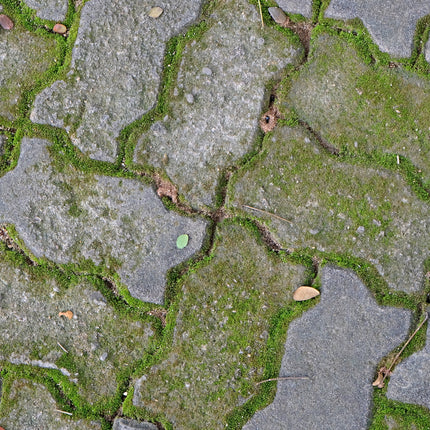 groene-aanslag-verwijderen